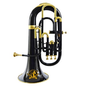 SOUND SAGA® Euphonium 4 Valve Bb Pitch Including Carry Case & Mouthpiece