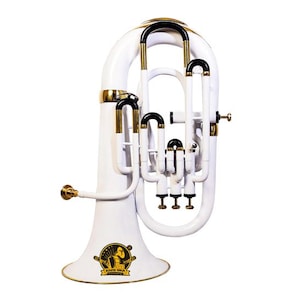 SOUND SAGA® Euphonium 4 Valve Bb Pitch Including Mouthpiece and Carry Case.