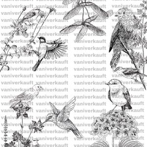 Coloring pages
