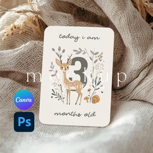 Baby Meilenstein Kartenmodell, Neutrales Geschlecht Babykarten Mockup, 5x7 Karten Mockup, Babyparty Einladen Mockup, Smart Objekt PSD und Canva PNG