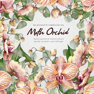 Motte Orchidee und Laub handgemaltes Aquarell Paket