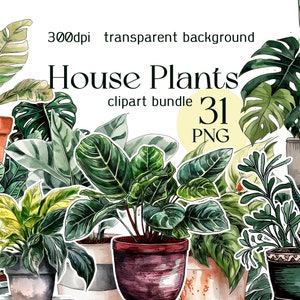 House Plants Clipart Bundle Plant Pot Png Clipart Monstera Plant Art Botanical Clipart Indoor Plants PNG Ficus Clipart Commercial Use