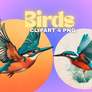 Può includere: Clipart digitale con due uccelli stilizzati in volo. Gli uccelli hanno ali turchesi, corpi arancioni e marroni e lunghi becchi neri. Il testo "Birds" e "CLIPART 4 PNG" è visualizzato in giallo.