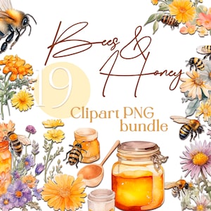 Watercolor Bee and Honey Clipart Bundle PNG Summer Flowers with Honey and Bees Art PNG Clip Art for commercial use instant download