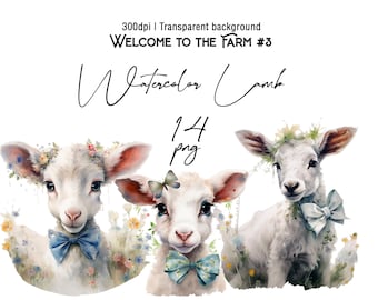Watercolor Lamb Clipart Bundle Farm Animals PNG Cute Baby Lamb Sheep Clipart Kawaii Nursery Spring Floral Lamb Baby Shower Clipart