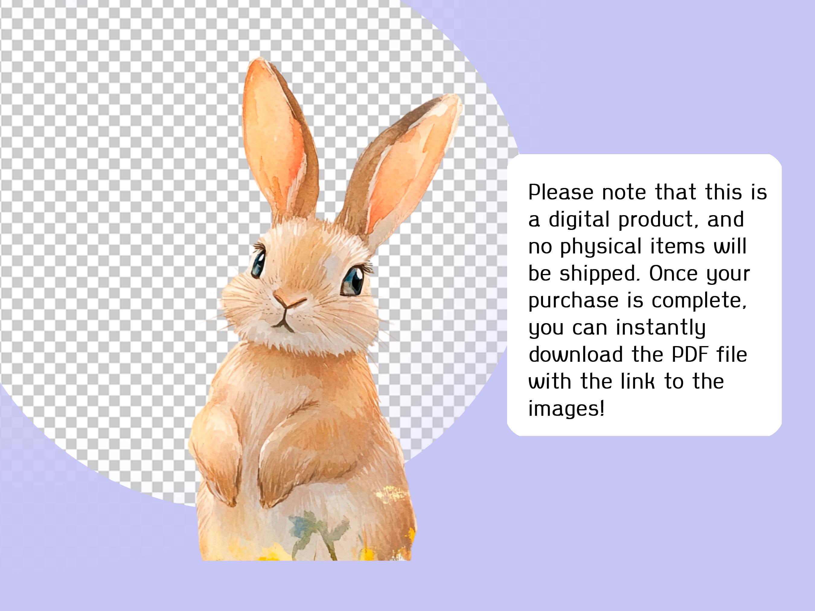 Spring Bunny Clipart Cute Rabbit PNG Easter Spring Clipart Printables ...