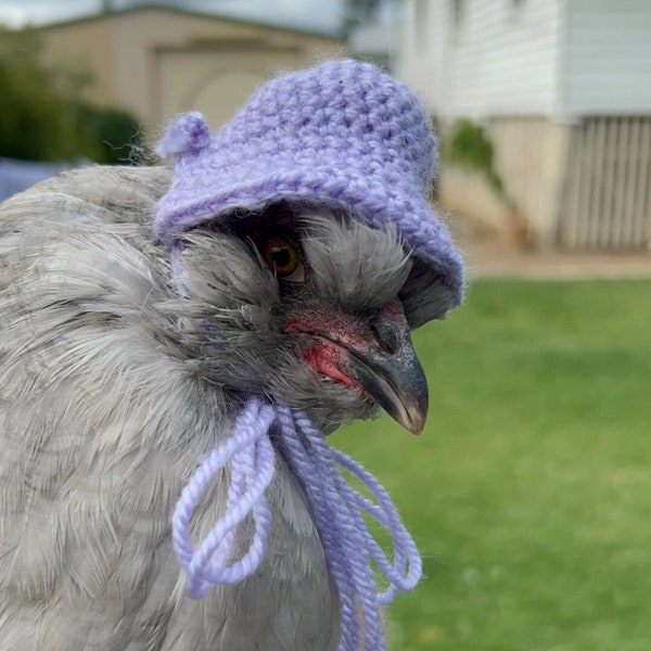 Crochet chicken hat pattern. (PDF download)