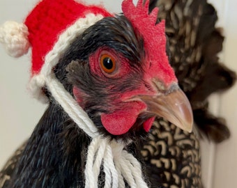 Modello all'uncinetto per cappello da Babbo Natale con pollo