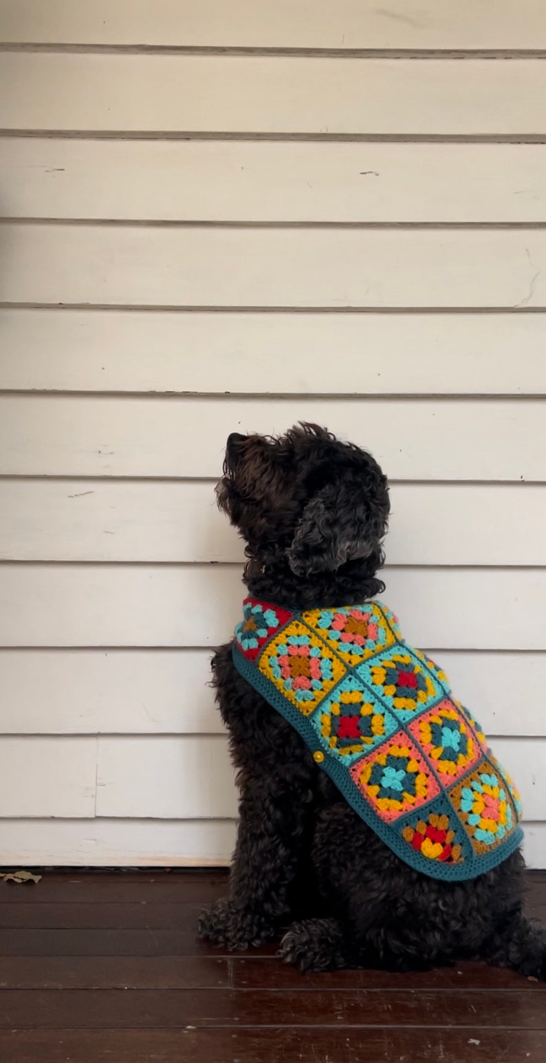 Pu&ograve; includere: Un cane nero che indossa un maglione da cane all'uncinetto colorato con un motivo geometrico. Il maglione &egrave; turchese, giallo, rosso, rosa e arancione.