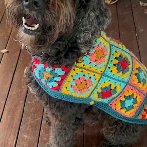 Pu&ograve; includere: Un cane nero e marrone con il pelo riccio che indossa un maglione all'uncinetto con un motivo geometrico colorato. Il maglione &egrave; fatto di filato turchese, giallo, rosso, rosa e arancione.