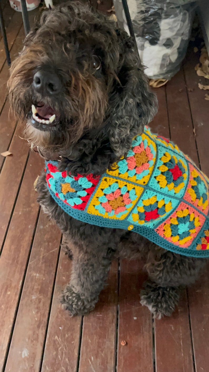 Pu&ograve; includere: Un cane nero e marrone con il pelo riccio che indossa un maglione all'uncinetto con un motivo geometrico colorato. Il maglione &egrave; fatto di filato turchese, giallo, rosso, rosa e arancione.