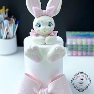 Süßer Hasen Kopf und Füße, Schleife handgemachter essbarer Fondant Geburtstag Cake Topper, Hase Figur für ersten Geburtstag Taufe Baby Shower Torte