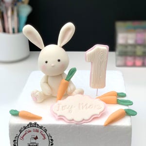 Süßer Hase, Karotten Namensschild, handgemachter essbarer Fondant, Geburtstags-Kuchentopper, Hasenfigur für Taufe oder Taufe