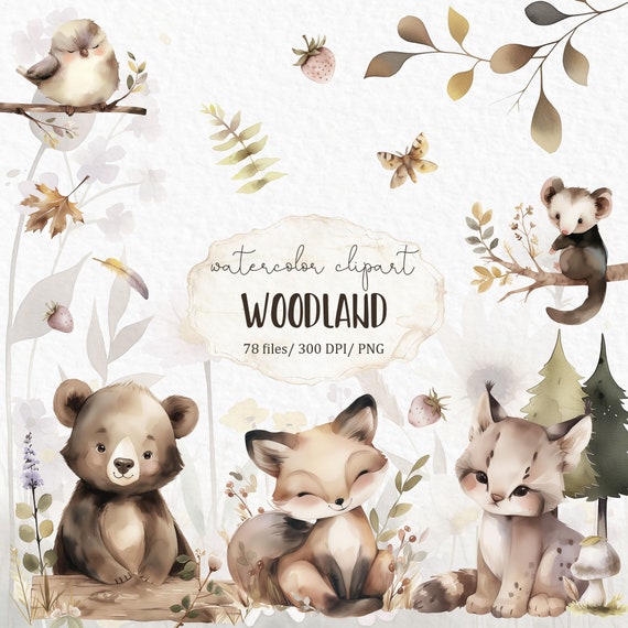 Woodland animals png - baby animals cute little animal watercolor clipart mushrooms butterflies forest fall w37
