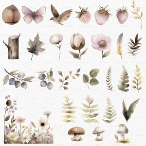 Puede incluir: Un conjunto de ilustraciones de acuarela que presentan varios elementos de la naturaleza, incluidos hongos, hojas, bayas, flores, un p&aacute;jaro, una mariposa, un toc&oacute;n de &aacute;rbol y fresas. Las ilustraciones est&aacute;n pintadas en tonos de marr&oacute;n, verde, rosa y blanco.