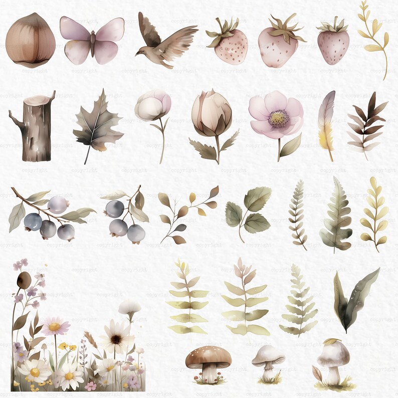Puede incluir: Un conjunto de ilustraciones de acuarela que presentan varios elementos de la naturaleza, incluidos hongos, hojas, bayas, flores, un p&aacute;jaro, una mariposa, un toc&oacute;n de &aacute;rbol y fresas. Las ilustraciones est&aacute;n pintadas en tonos de marr&oacute;n, verde, rosa y blanco.