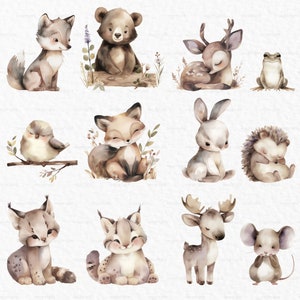 Puede incluir: Un conjunto de 11 ilustraciones de acuarela que representan varios animales del bosque, incluyendo un lobo, un oso, un ciervo, una rana, un p&aacute;jaro, un zorro, un conejo, un erizo, un lince, un alce y un rat&oacute;n. Los animales est&aacute;n representados en un estilo lindo y caprichoso, con colores suaves y detalles delicados.