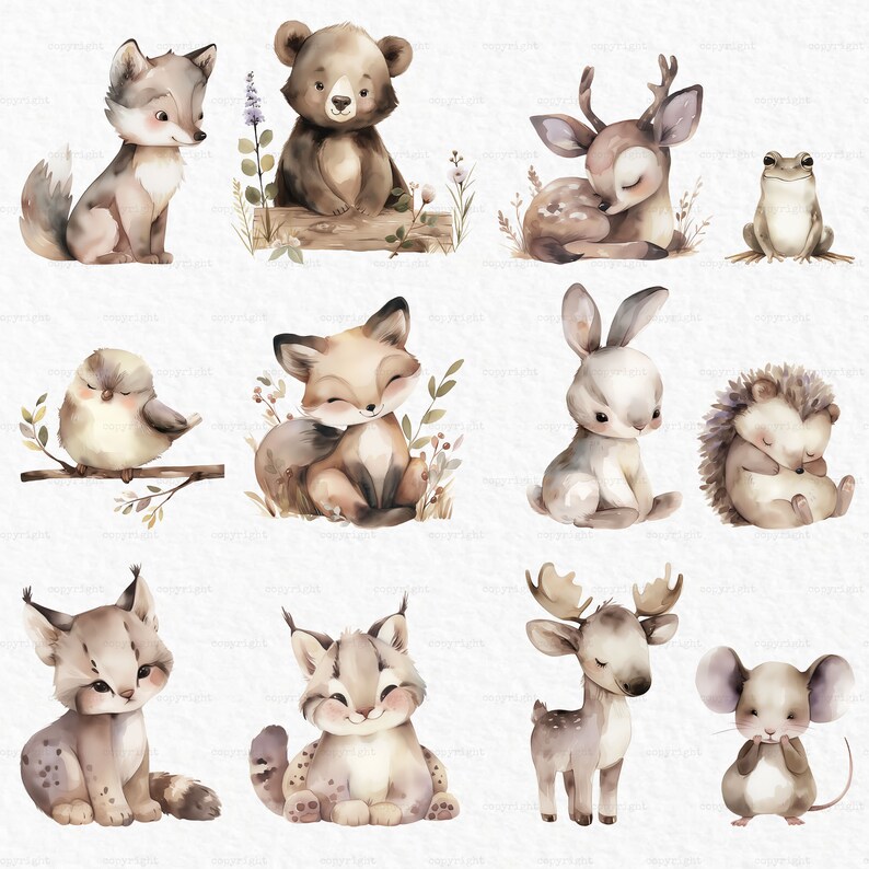 Puede incluir: Un conjunto de 11 ilustraciones de acuarela que representan varios animales del bosque, incluyendo un lobo, un oso, un ciervo, una rana, un p&aacute;jaro, un zorro, un conejo, un erizo, un lince, un alce y un rat&oacute;n. Los animales est&aacute;n representados en un estilo lindo y caprichoso, con colores suaves y detalles delicados.