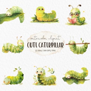 Cute bug clipart - hungry caterpillar png insect teacher clipart kawaii watercolor classroom decor #w39