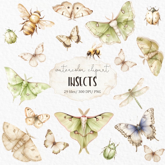 Luna moth watercolor clipart - dark academia cottagecore summer butterfly sticker png dragonfly moth garden bee insect clipart #w20