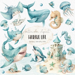 Aquarell Clipart - Wal, Schwertwal, Delfin, Seepferdchen, Qualle, Fisch #w4