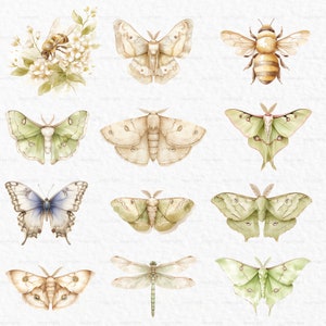 May include: A collection of watercolor illustrations of various insects, including butterflies, moths, a dragonfly, and a bee. The insects are depicted in shades of green, brown, blue, and yellow against a white background.