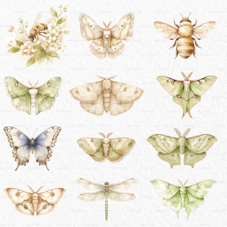 May include: A collection of watercolor illustrations of various insects, including butterflies, moths, a dragonfly, and a bee. The insects are depicted in shades of green, brown, blue, and yellow against a white background.