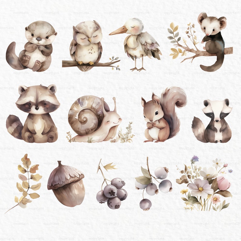 Puede incluir: Ilustraciones de acuarela de animales del bosque, incluyendo un mapache, una ardilla, un tej&oacute;n, una nutria, un b&uacute;ho, un caracol y un p&aacute;jaro. Las ilustraciones est&aacute;n en tonos de marr&oacute;n, gris y blanco, y est&aacute;n sobre un fondo blanco.