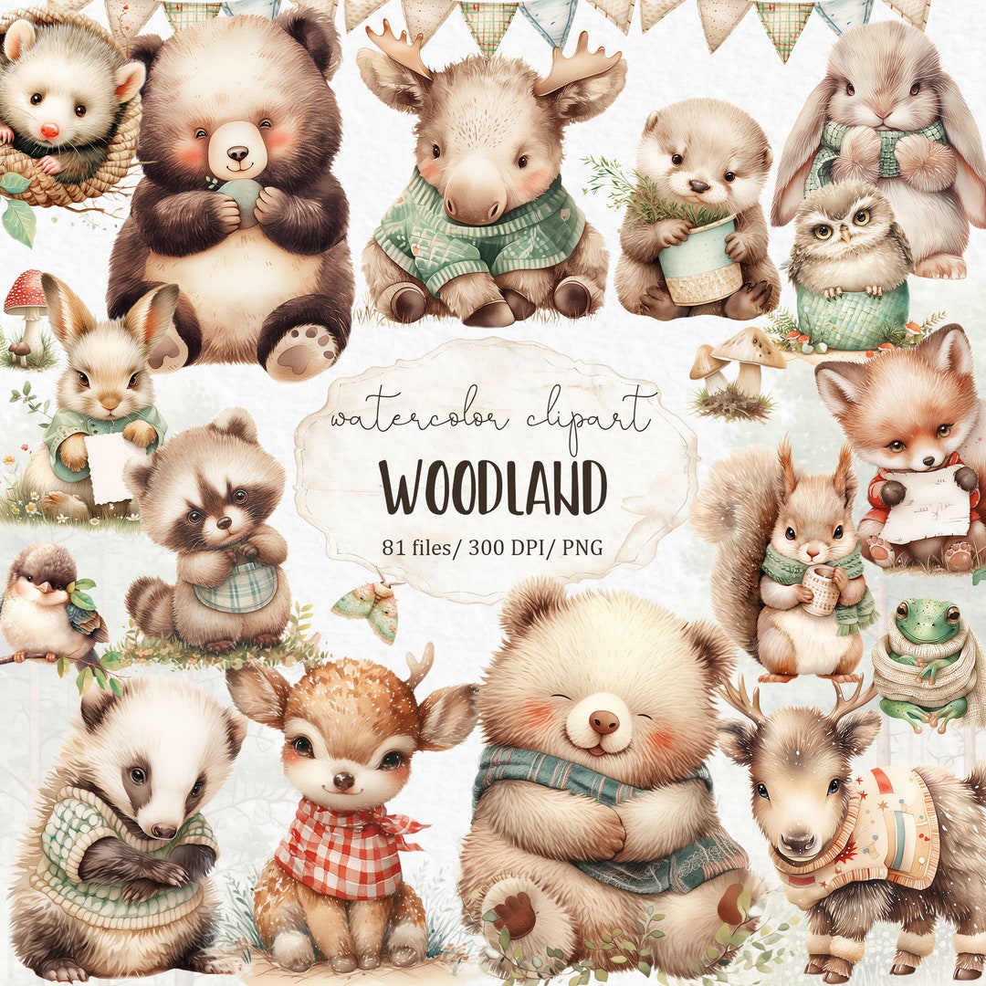 Woodland Animals Clipart PNG - Boho Woodland Baby Shower Watercolor ...