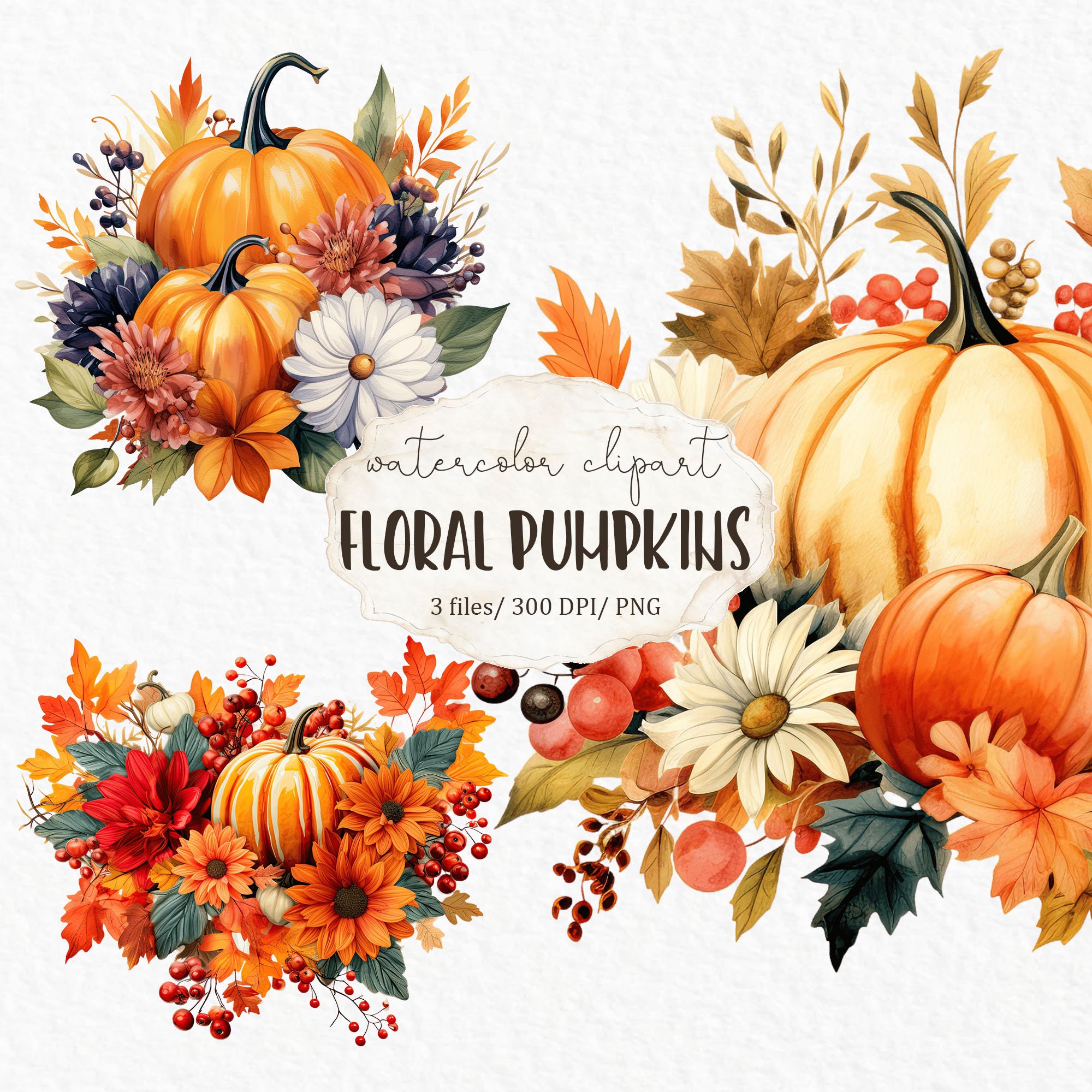 Floral Pumpkin Watercolor Clipart PNG - Autumn Thanksgiving Fall Orange ...