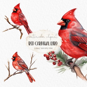Roter Kardinal Vogel Aquarell Clipart PNG - antik weihnachtlich Dekoration #c129