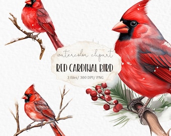 Roter Kardinal Vogel Aquarell Clipart PNG - antik weihnachtlich Dekoration #c129