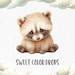 SweetColorDrops