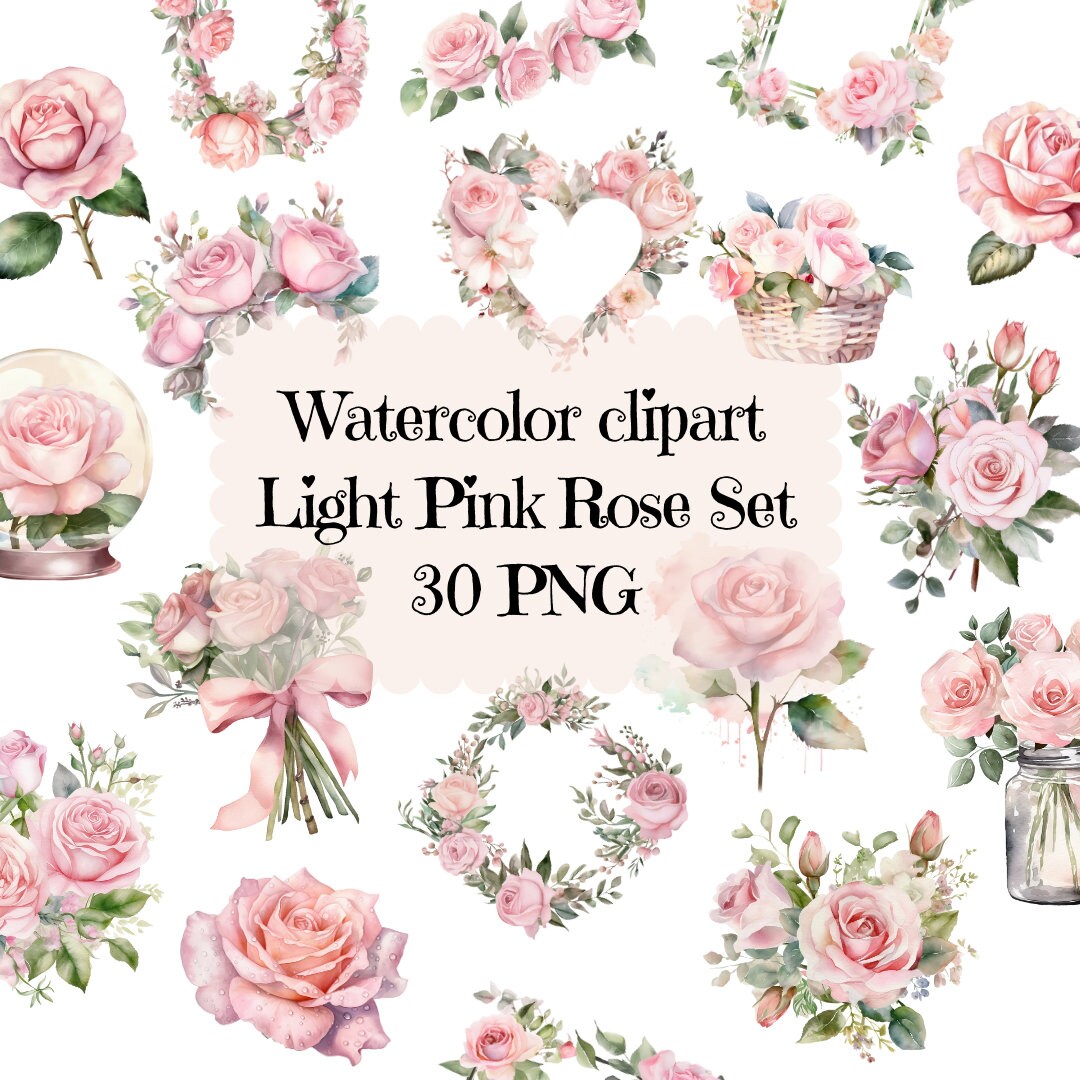 Rose Clipart Watercolor Pink Rose Clipart 30 PNG Clipart Transparent