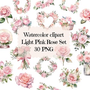 Rose clipart watercolor pink rose clipart 30 PNG clipart transparent background for commercial use 300DPI flower clipart instant download