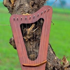 May include: A reddish-brown wooden lyre with strings, set against a tree trunk. The instrument has a curved shape with a sound hole. The strings are visible, and the lyre appears to be handcrafted. The background is a blurred green field.