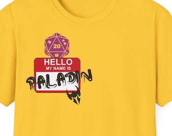 Paladin du MDN de classe