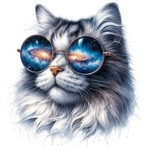 クールな猫のクリップアート - 16 個の高品質 PNG、スクラップブック、ウォール アート、カード作成、デジタル プランナー、コラージュ画像、デジタル ダウンロード、昇華