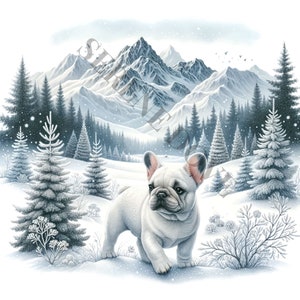 Clipart de buldogue francês de inverno - 14 PNGs de alta qualidade, diários indesejados, álbuns de recortes, planejadores digitais, uso comercial, sublimação