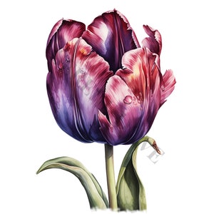 Purple Tulip Clipart - 12 High Quality PNGs, Memory Book, Junk Journals, Scrapbooks, Digital Planners, Commercial Use, Digital Download
