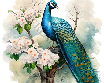 Majestic Peacock Clipart - 12 PNG de haute qualité, Livre de mémoire, Junk Journals, Scrapbooks, Planificateurs numériques, Utilisation commerciale, Téléchargement numérique