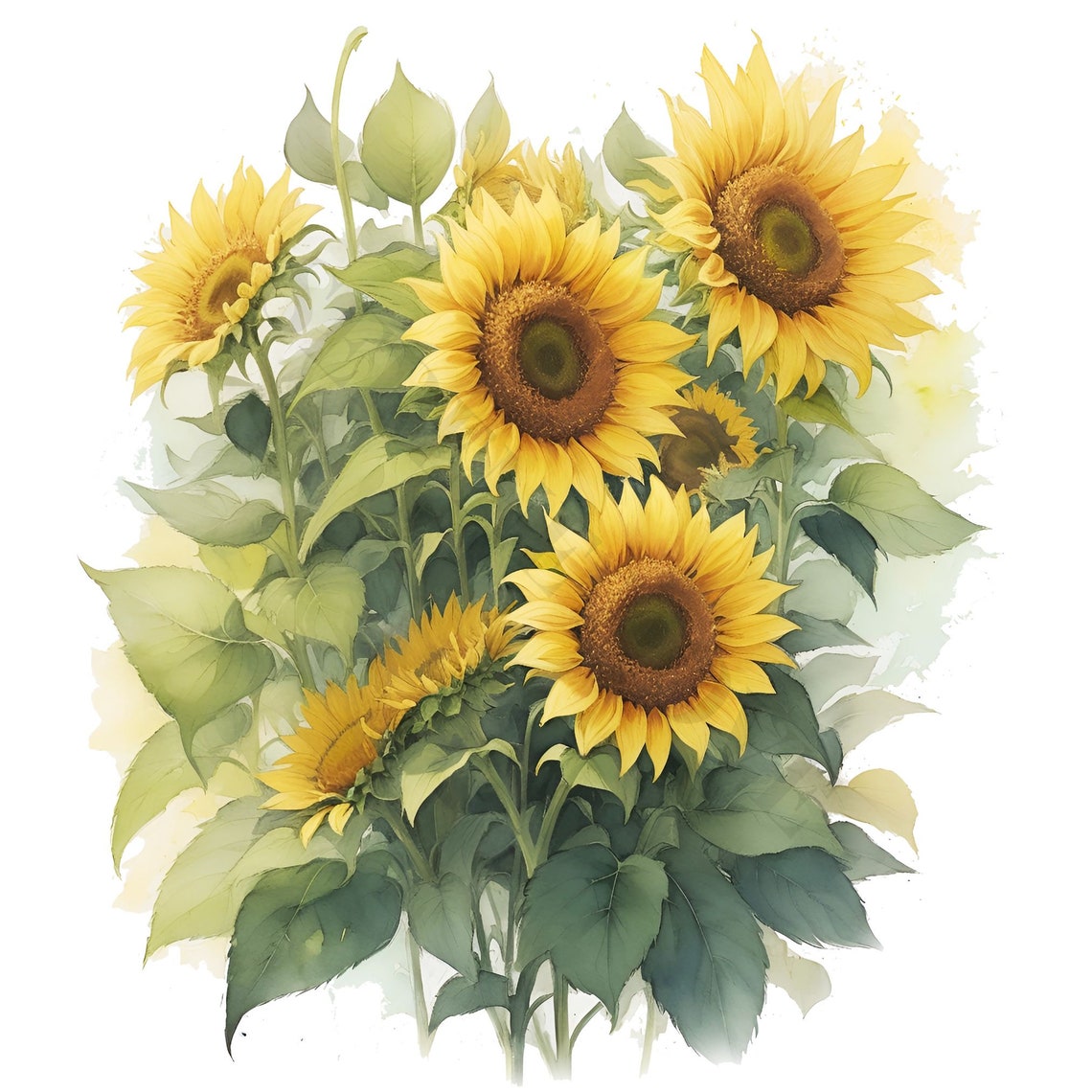 Sunflowers Clipart - Fall Sunflower Floral Bouquets in Watercolor PNG ...