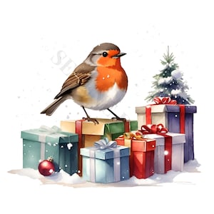 Robins and Gifts Clipart - 12 High Quality PNGs, Digital Planner, Junk Journaling, Wall Art, Apparel, Commercial Use, Digital Download