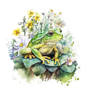 Green Frog Clipart - 12 PNG de alta calidad, elaboración de papel digital, planificador digital, ropa, acuarela, descarga digital, sublimación