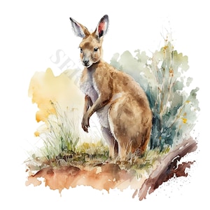 Outback Kangaroo Clipart - 13 High Quality PNGs, Digital Download, Card Making, Clipart, Digital Paper Craft, Junk Journal