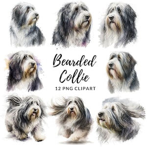 Bearded Collie Clipart - 12 PNGs van hoge kwaliteit, Digitale Planner, Junk Journal, Scrapbook, Memory Book, Commercieel Gebruik, Sublimatie