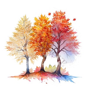 Autumn Trees Clipart - 12 High Quality PNGs, Digital Download, Card Making, Clipart, Digital Paper Craft, Junk Journal