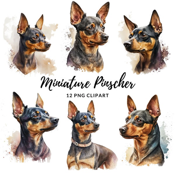 Miniature Pinscher Clipart - 12 PNG de haute qualité, Livre de mémoire, Junk Journals, Scrapbooks, Planificateurs numériques, Utilisation commerciale, Téléchargement numérique