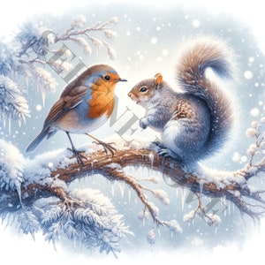 Winter Robin Clipart - 12 PNG's van hoge kwaliteit, Geheugenboek, Ongewenste tijdschriften, Plakboeken, Digitale Planners, Commercieel Gebruik, Sublimatie