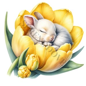 Clipart de coelho dormindo e flores - 14 PNGs de alta qualidade, download digital, criação de cartões, clip art, artesanato em papel digital, sublimação